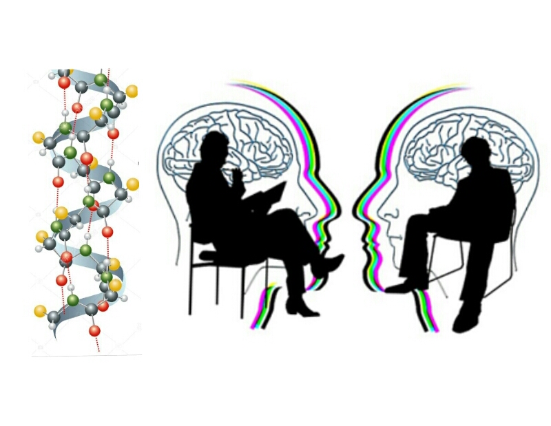 proteína-ASC-alzheimer