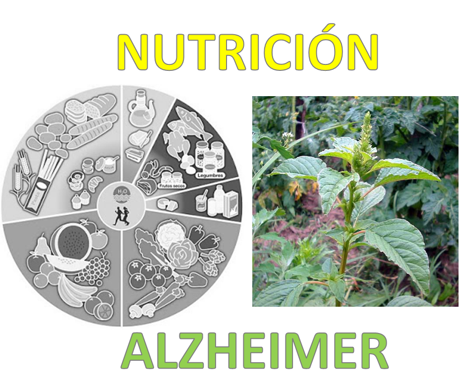 NUTRICIÓN-ALZHEIMER