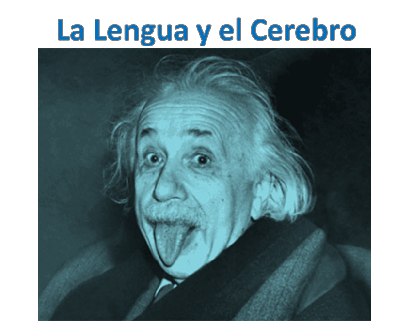 einstein-lengua-cerebro