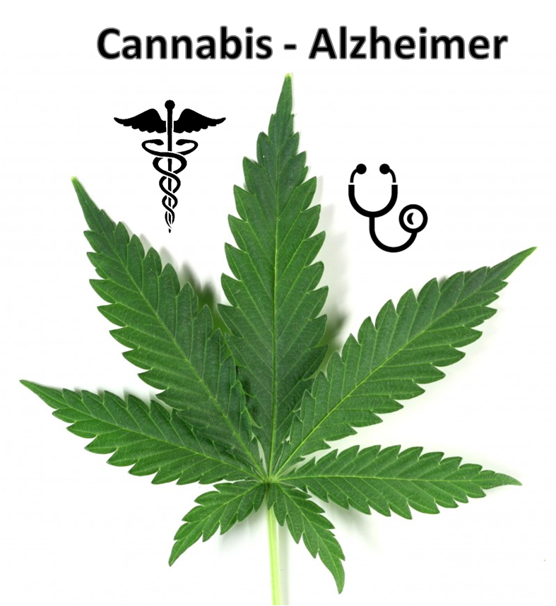 terapia-cannabis-alzheimer