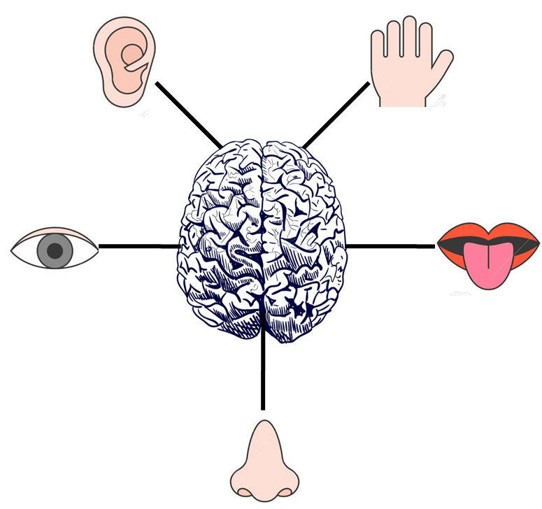 CAPACIDADES-COGNITIVAS-GNOSIAS-ALZHEIMER