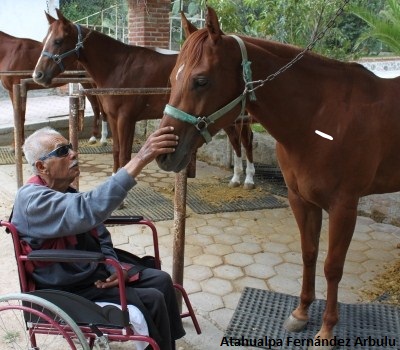 equinoterapia-alzheimer