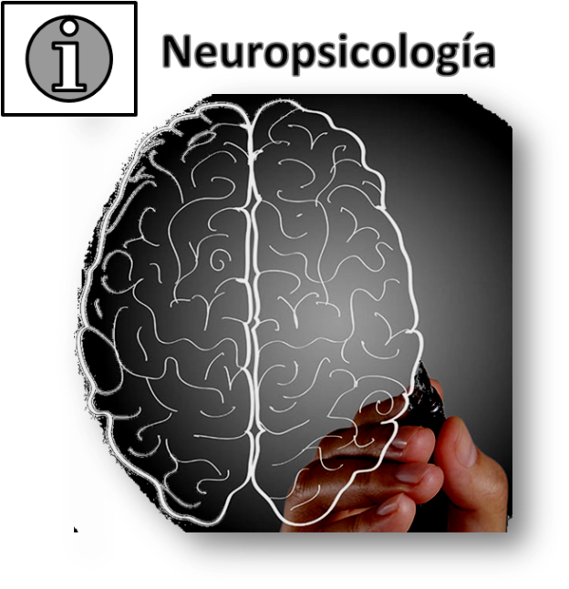 neuropsicología-alzheimer