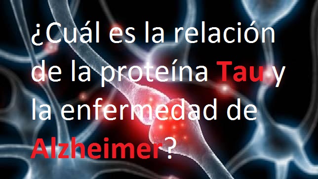 proteina-tau-alzheimer